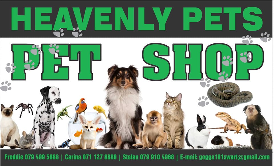 Heavenly Pets PETSHOP | Let's welcome our new members | Facebook