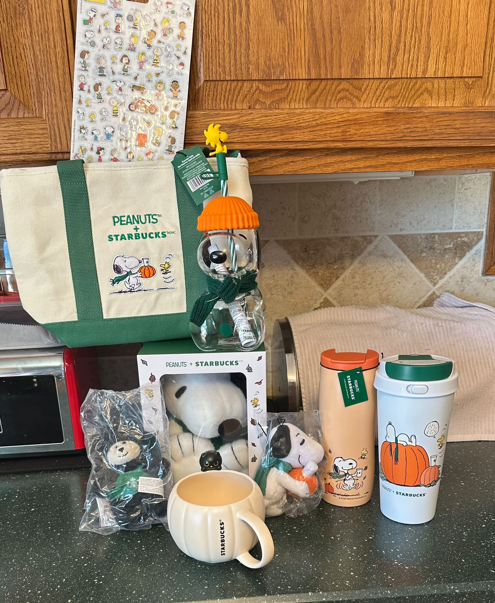 Starbucks Snoopy items received from Chanel Burks