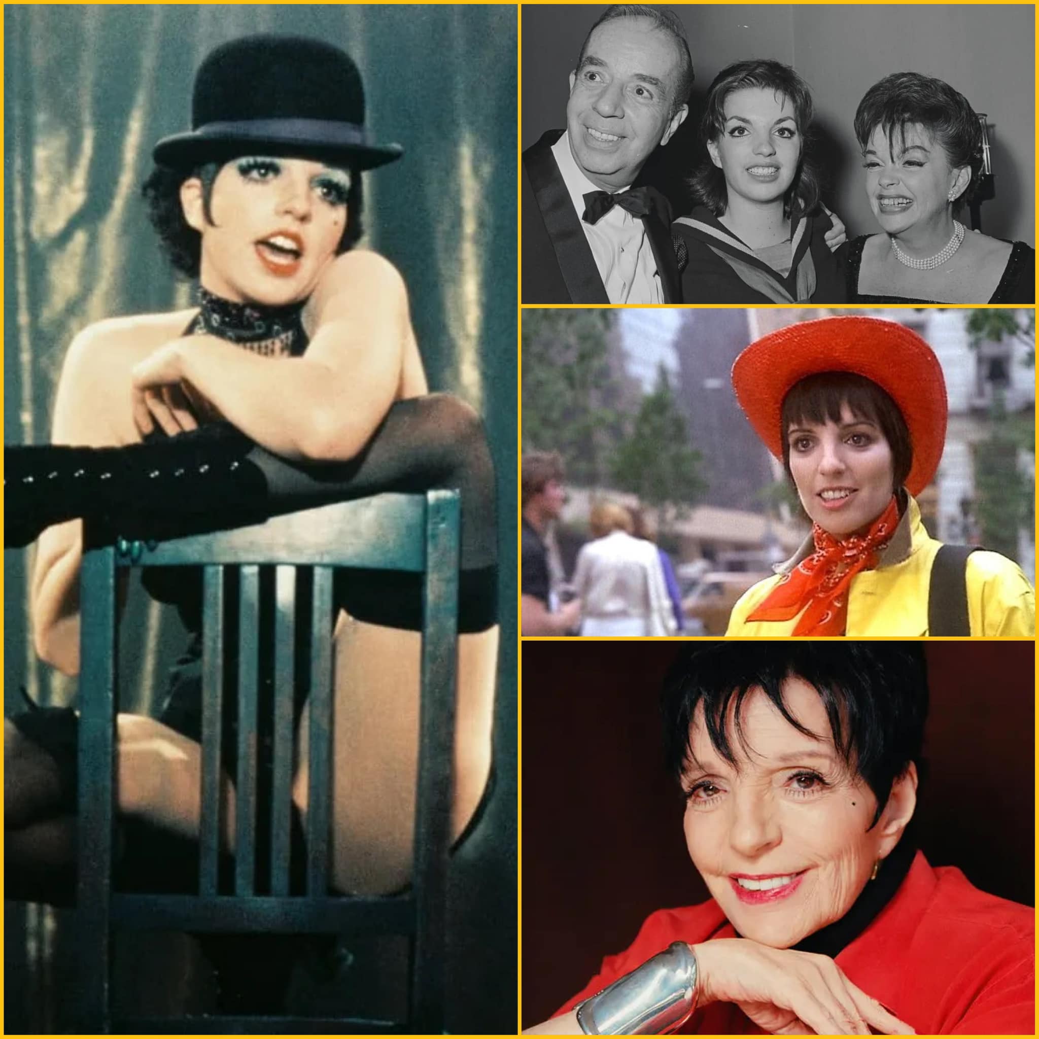 The stars were shining bright in celebration of Liza Minnelli's