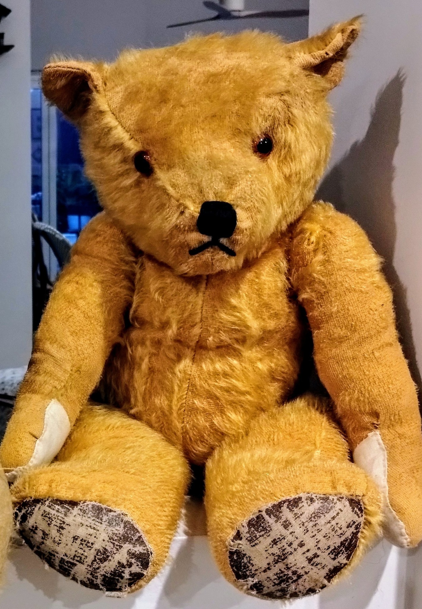 What brand is my childhood teddy bear from the 1950s in Australia?