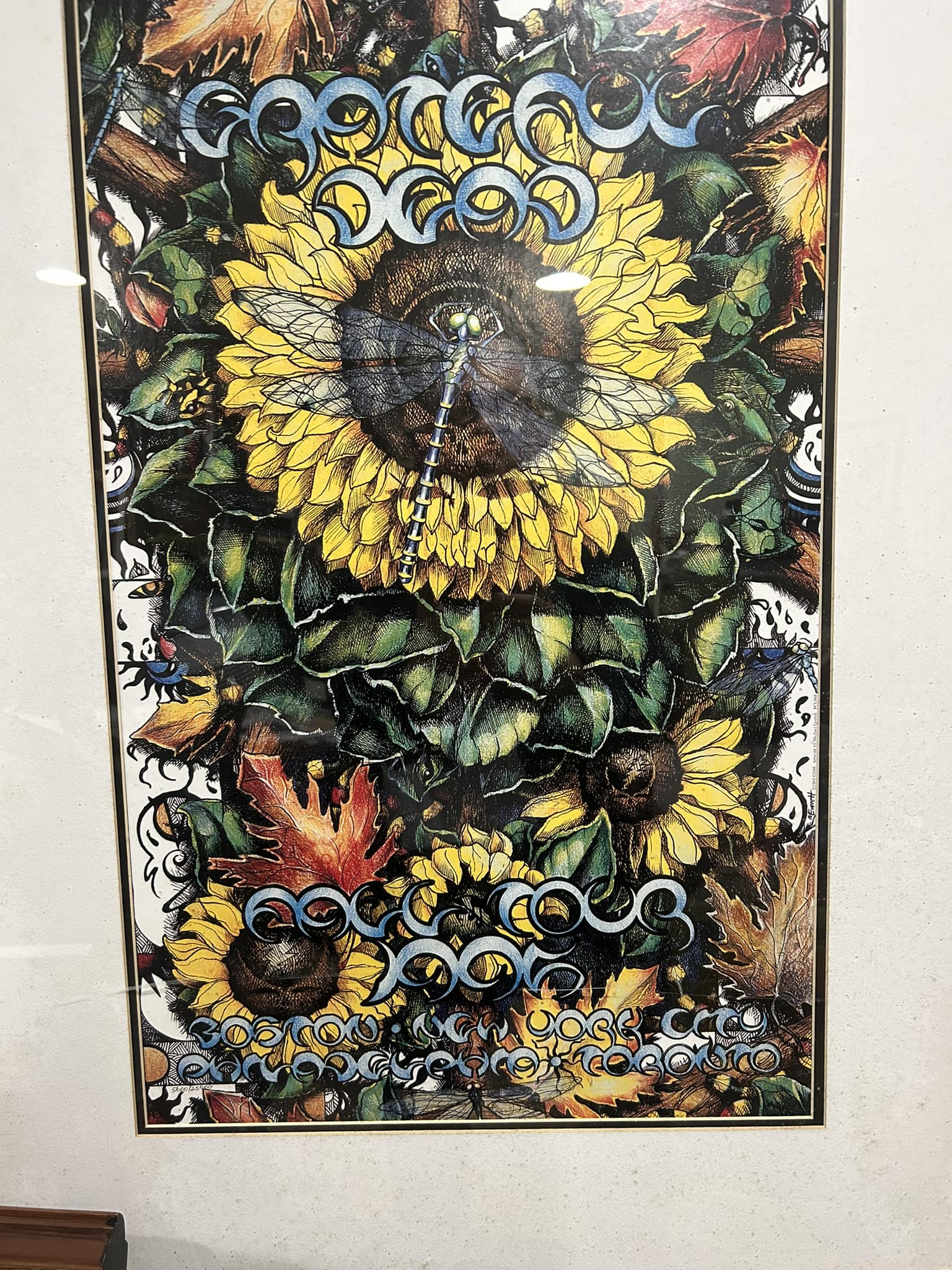 Framed Grateful Dead 1995 Fall Tour Poster