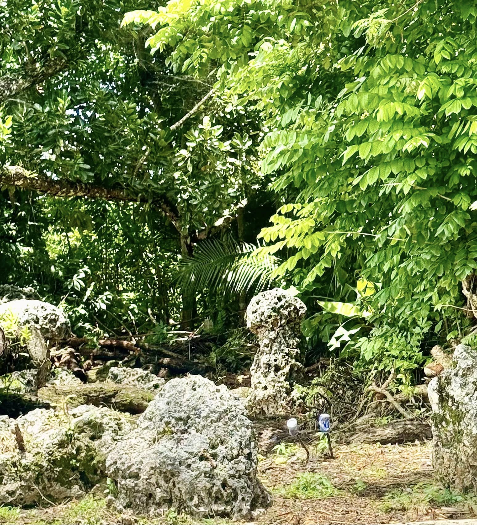 Latte Stone Park @ Guam, USA ??