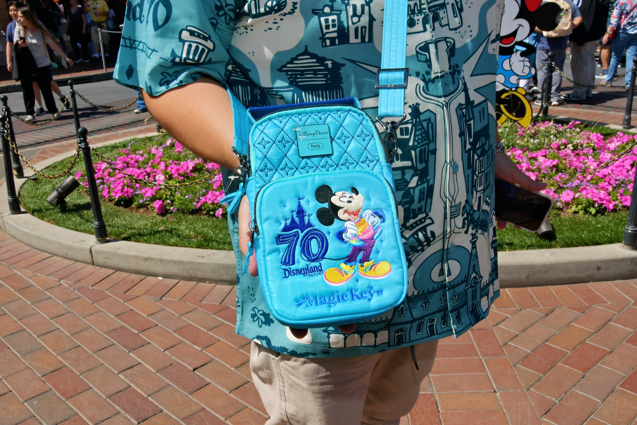 Lug bag purchase near Disney California Adventure Park