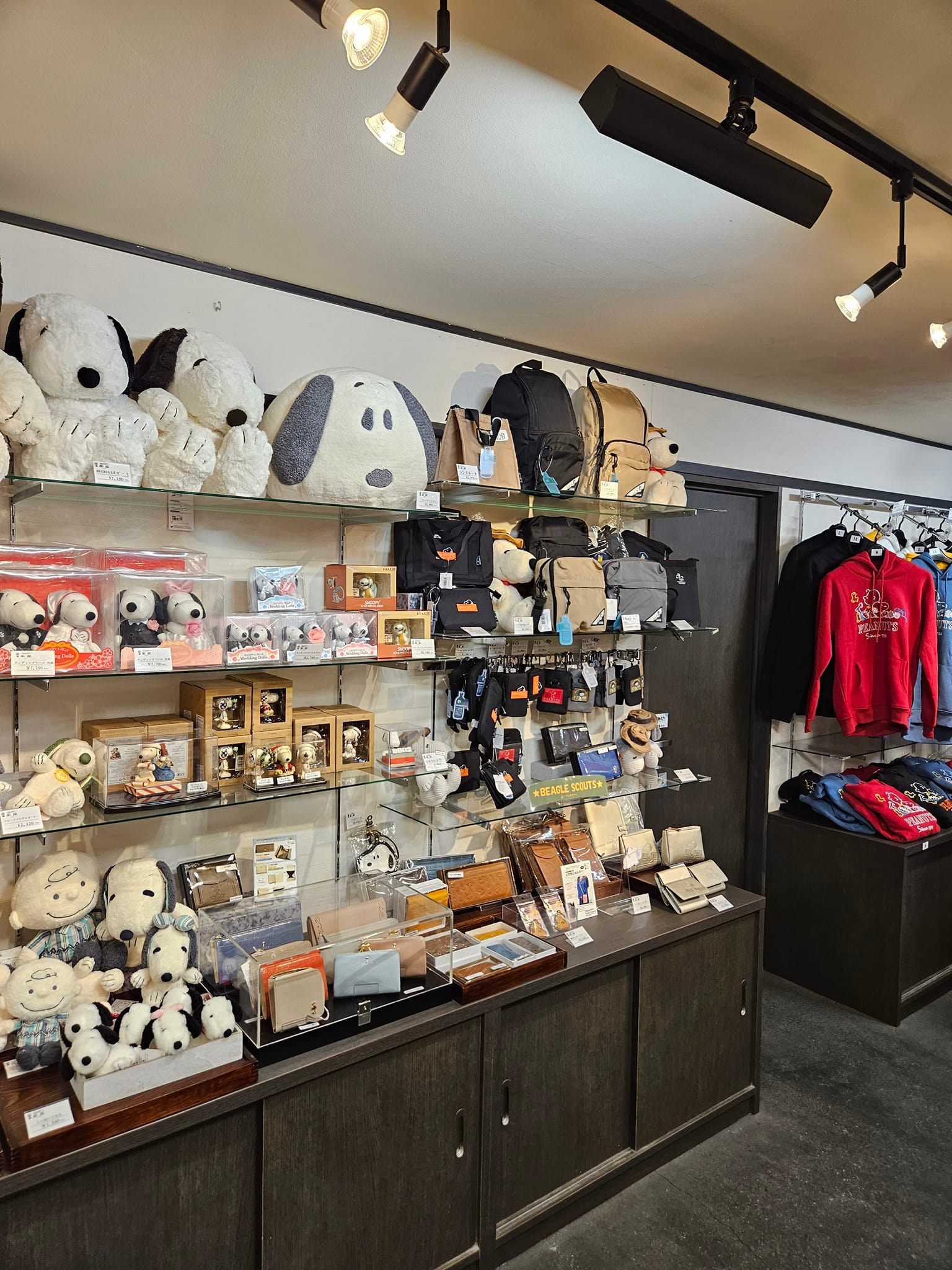 When I was in Japan visiting my son. I found a snoopy store