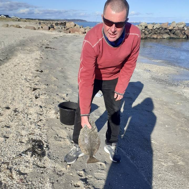 Sæby nye Mole | Én mere end i går fra nordstranden... | Facebook