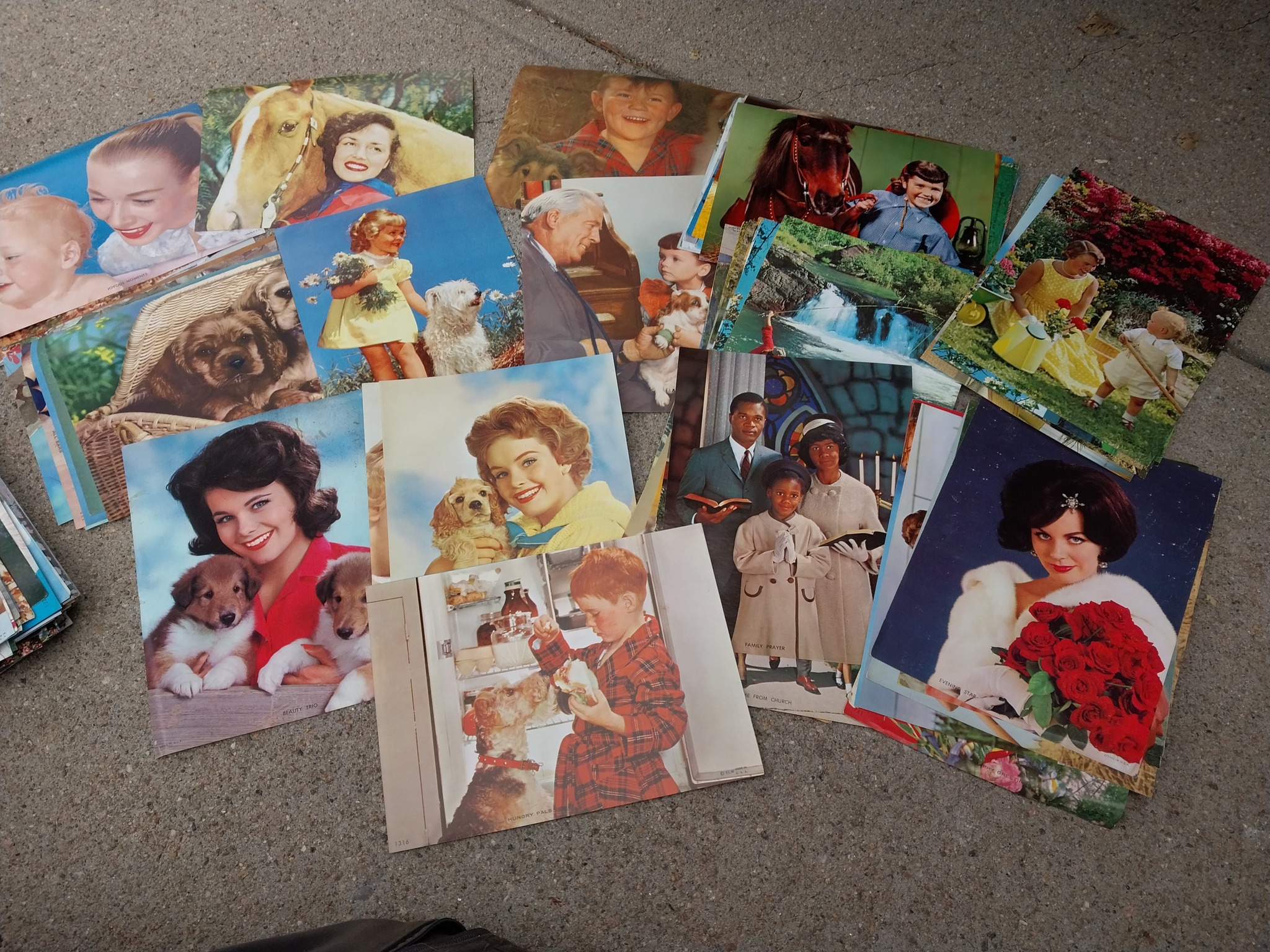 Susan Backer - WEDNESDAYS LIVE AUCTION PREVIEW!! Join us... | Facebook