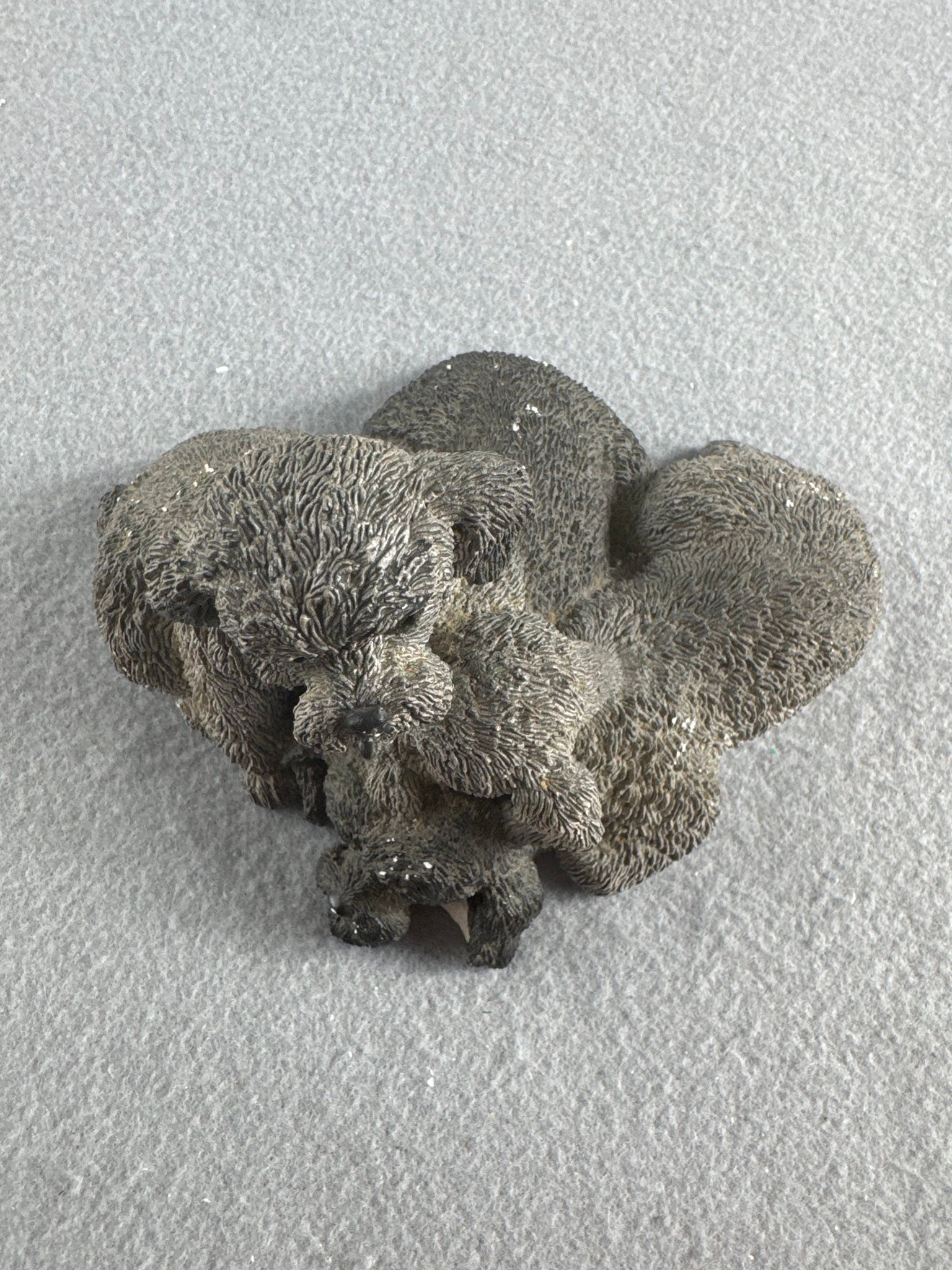 SOLD MJB. #03 Whiskers By Martha Carey Schnauzer Dogs Sculpture