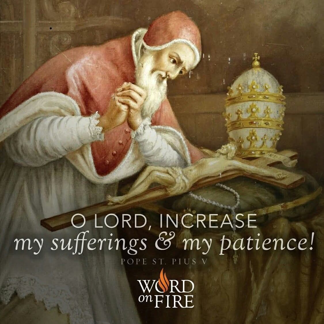 OUR LADY OF KNOCK | Pope Pius V kept the Dominican habit as pope, which ...