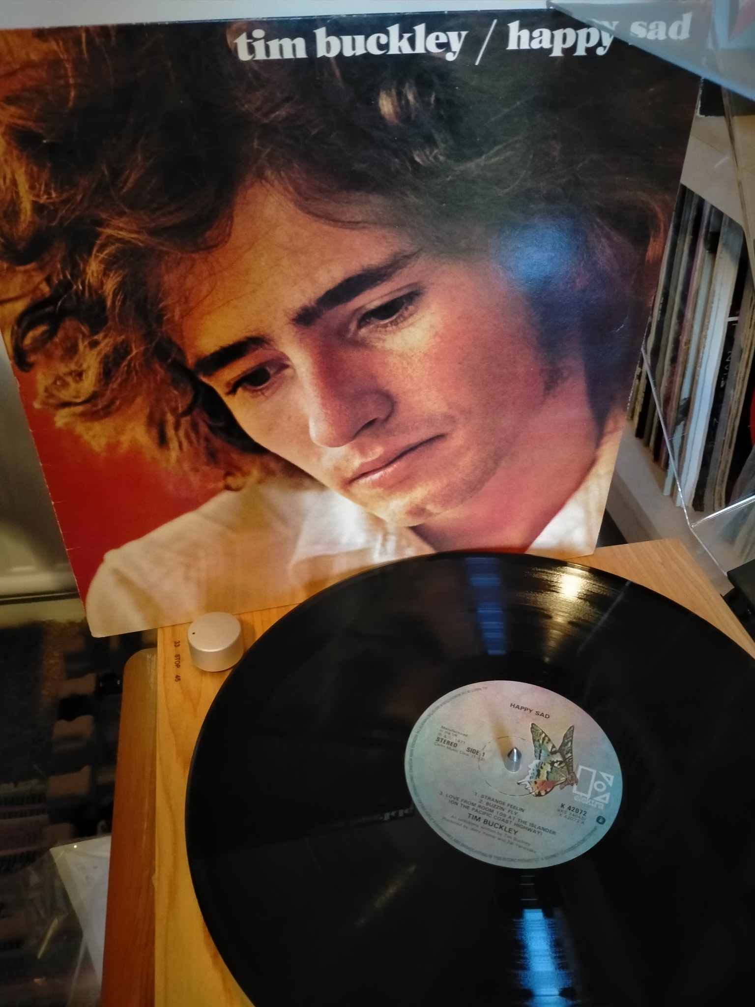Tim Buckley's Happy Sad album features Strange Feelin'