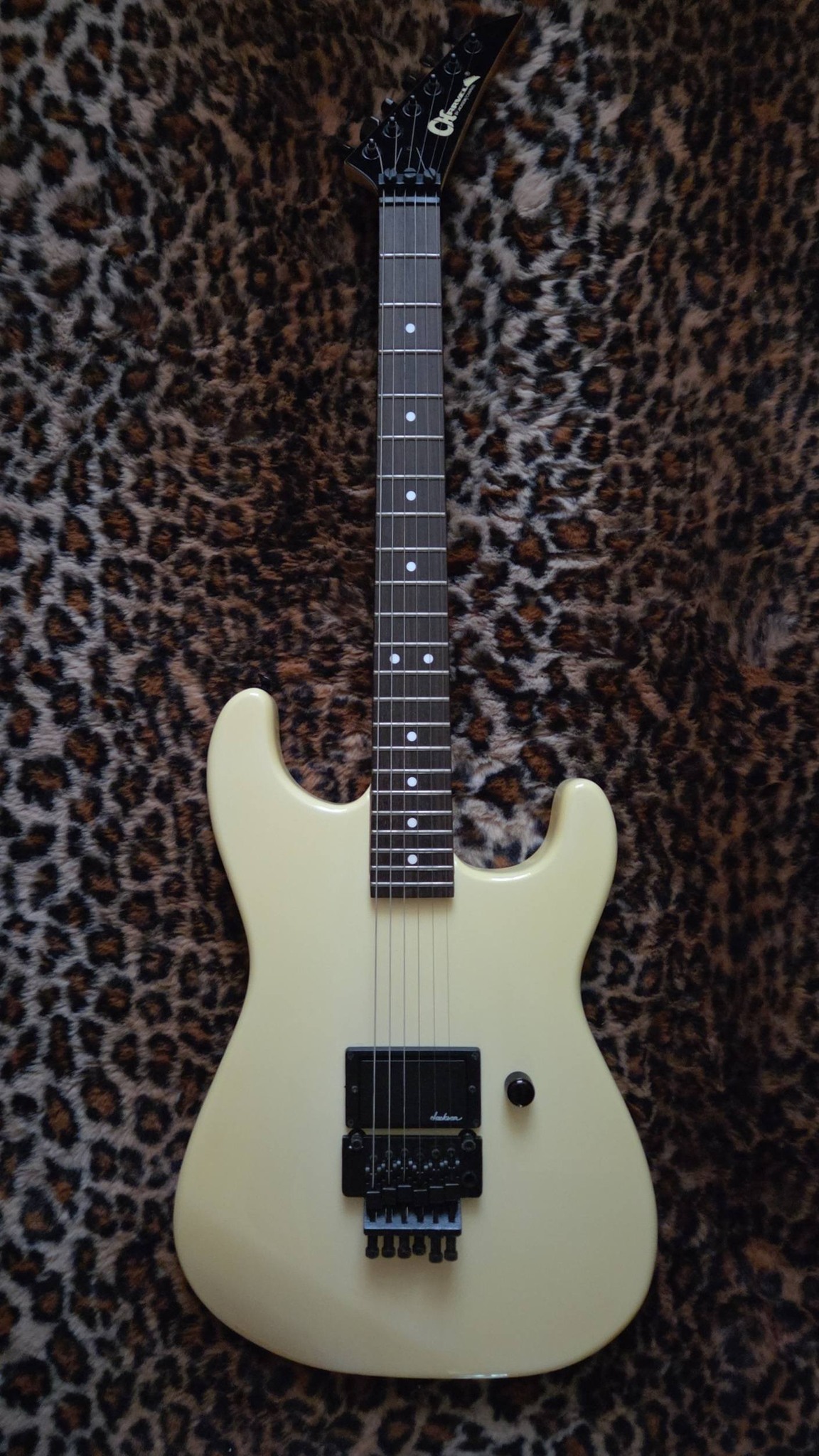 1988 Charvel Model 2 guitar, a lifelong companion