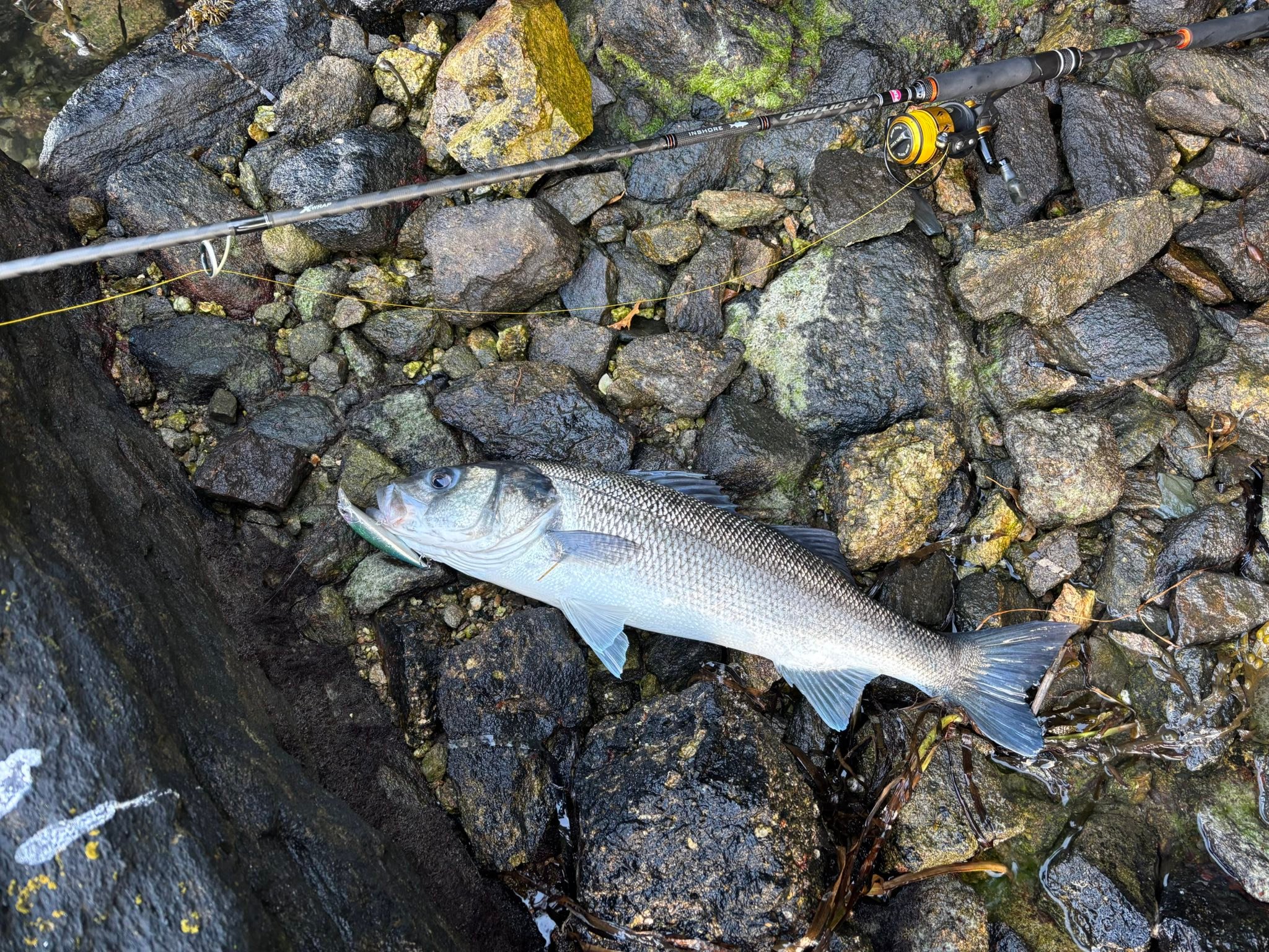 Leurre Spinner Pour Black-bass – Appât De Pêche Eau Douce – Rotatif 360°, Hameçon Inclus – 5 G