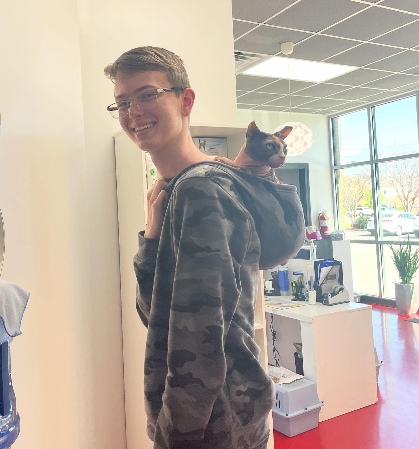 Catisfaction Cat Clinic