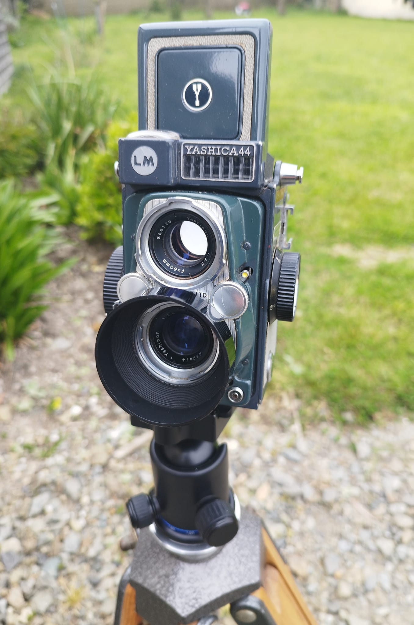 Does anyone have a Yashica ML Reflex 500mm f8?