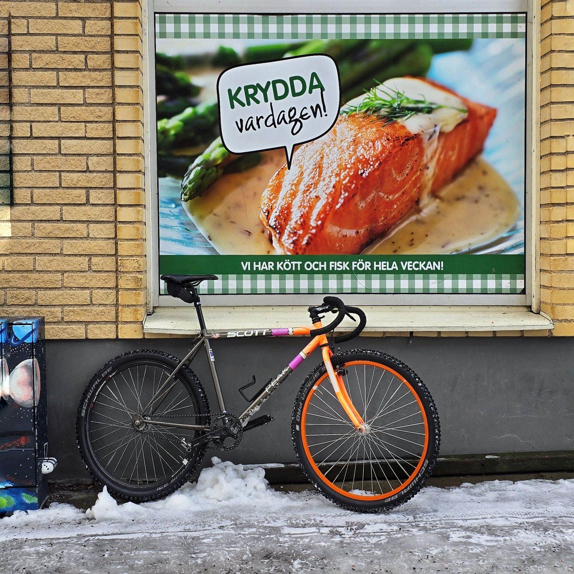damenfahrrad bianchi Touring – Damen-Trekkingrad 28