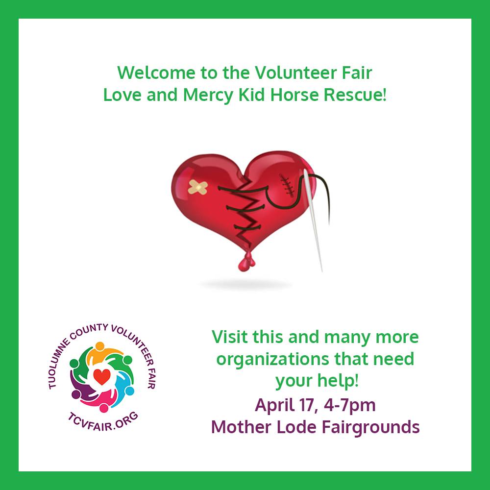 Love & Mercy Kid Horse Rescue | Groveland CA