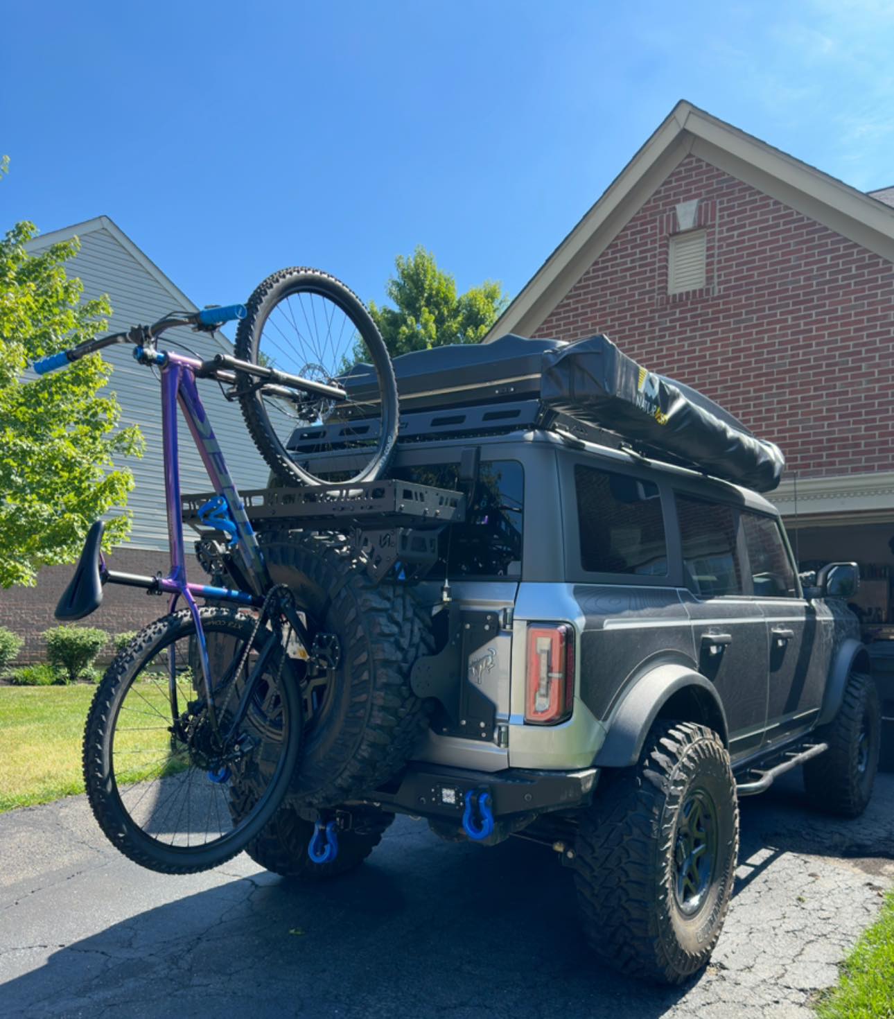 trek bicycle carrier Rear Pannier Cargo Rack For Hybrid Bike  Cycling Kinetics resistant finishes Mounting a Trek bike on