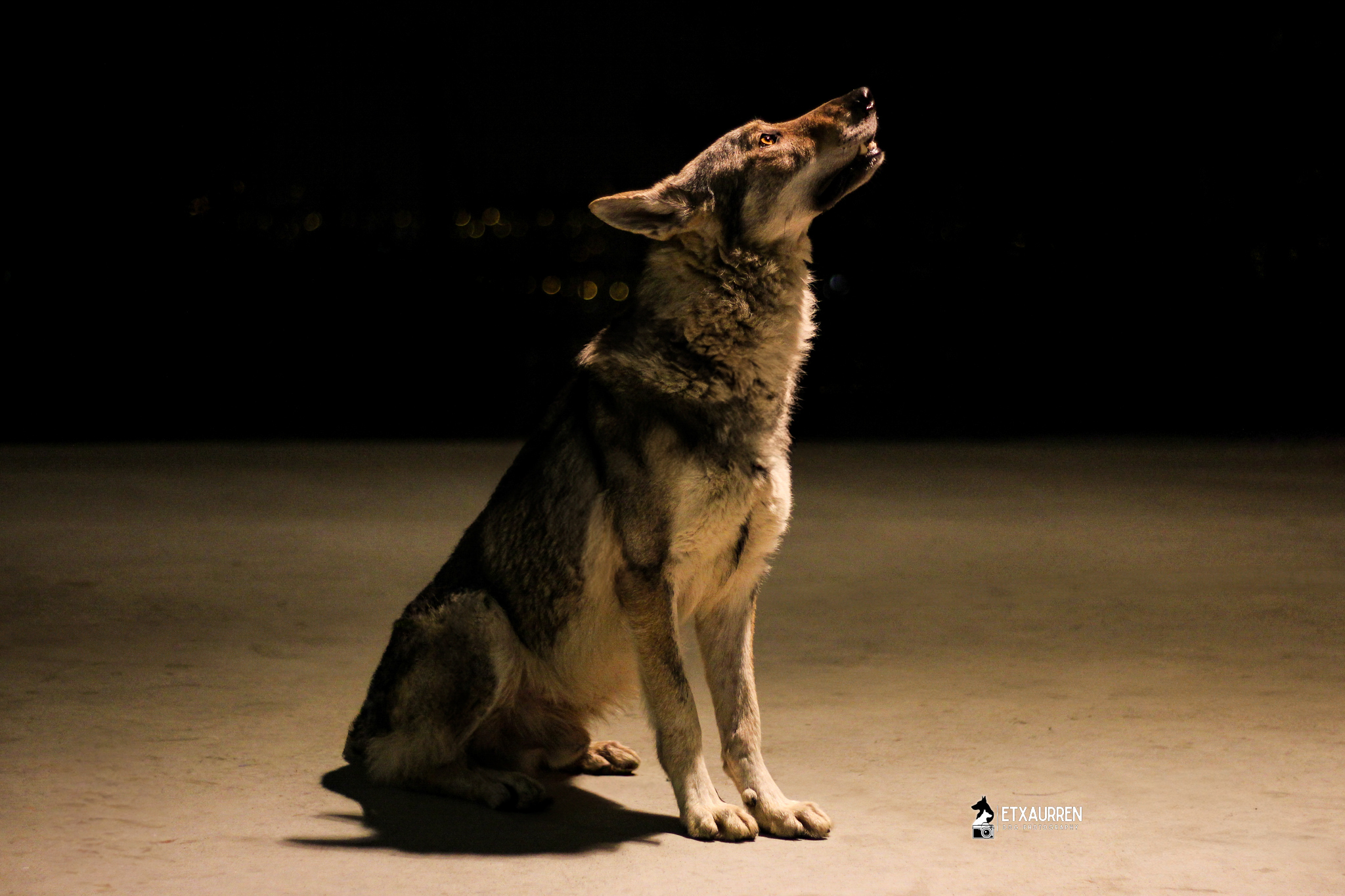 Canon EOS 60D + Tamron 17-50 f2.8 Hope you like this old photo 