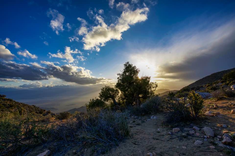 Keys View, Joshua Tree National Park