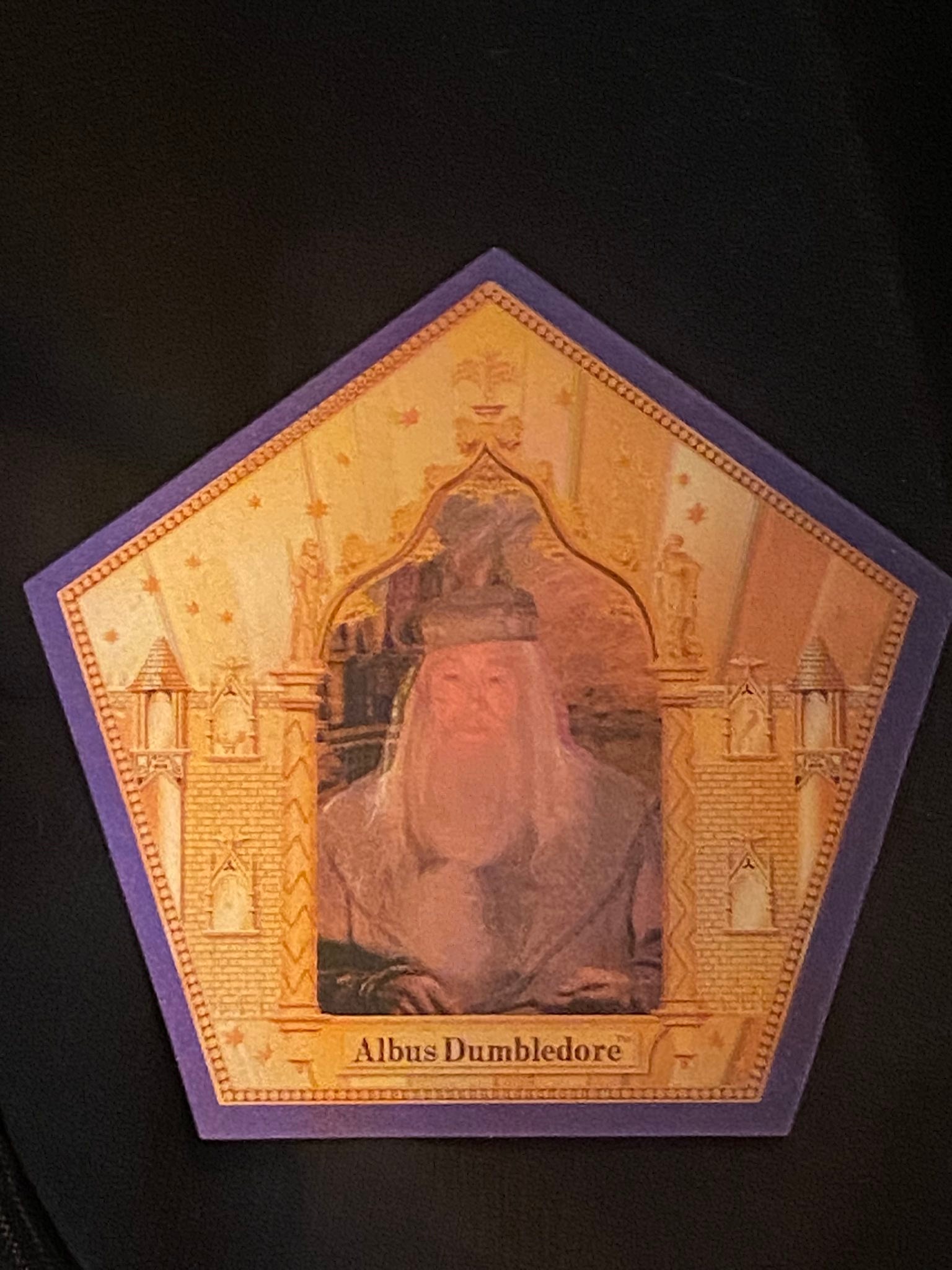 Türkiye The Noble Collection Harry Potter Chocolate Frog