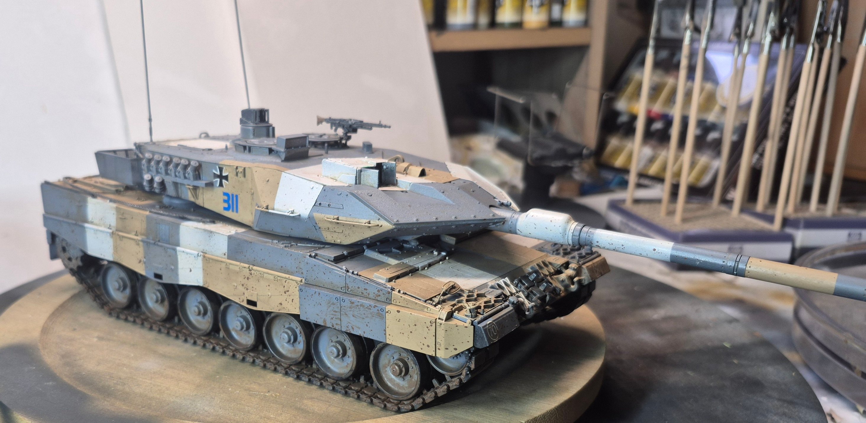 Has anyone built this border model or similar kits?