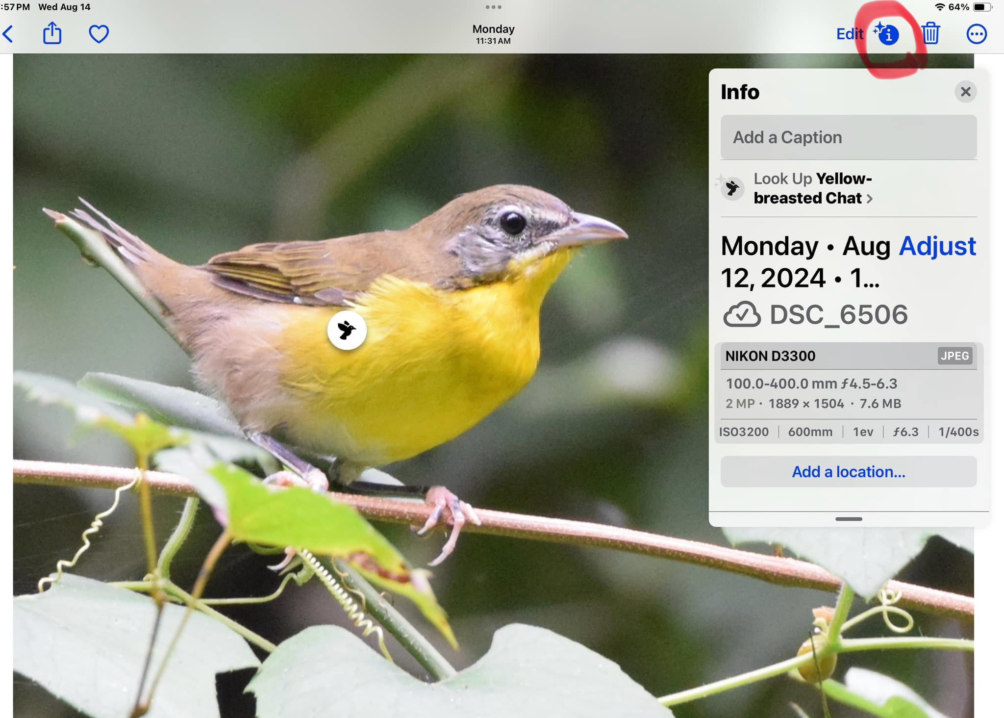 Apple iPhone identifies birds from pictures