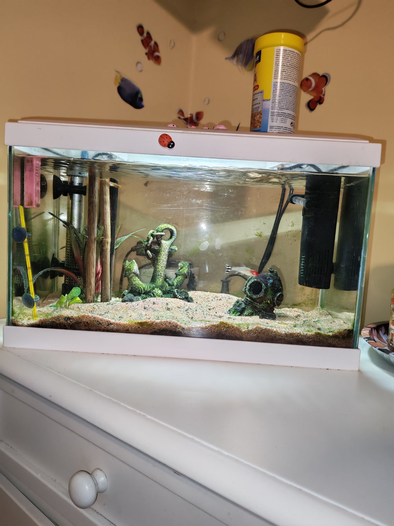 ACQUARIO CHE PASSIONE | Ciao a tutti | Facebook