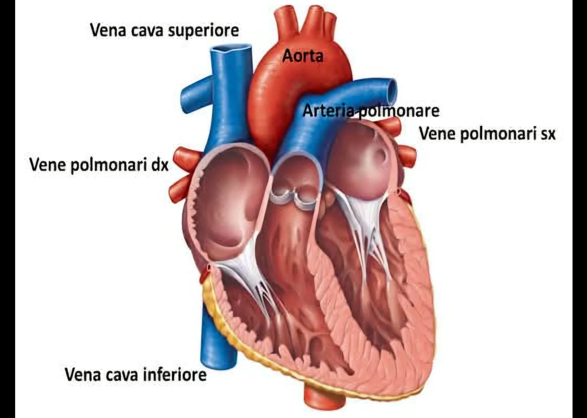 operatore-socio-sanitario-oss-cambi-concorsi-e-formazione-continua