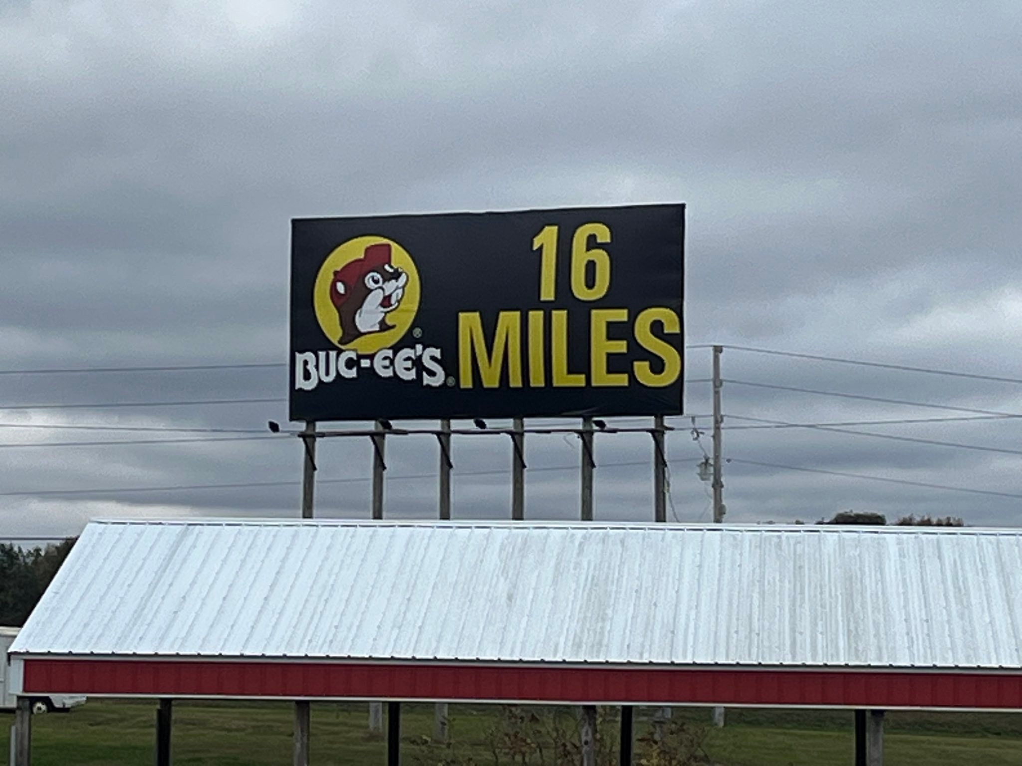 Visiting Flea Land in Bowling Green, KY near Buc-ee's