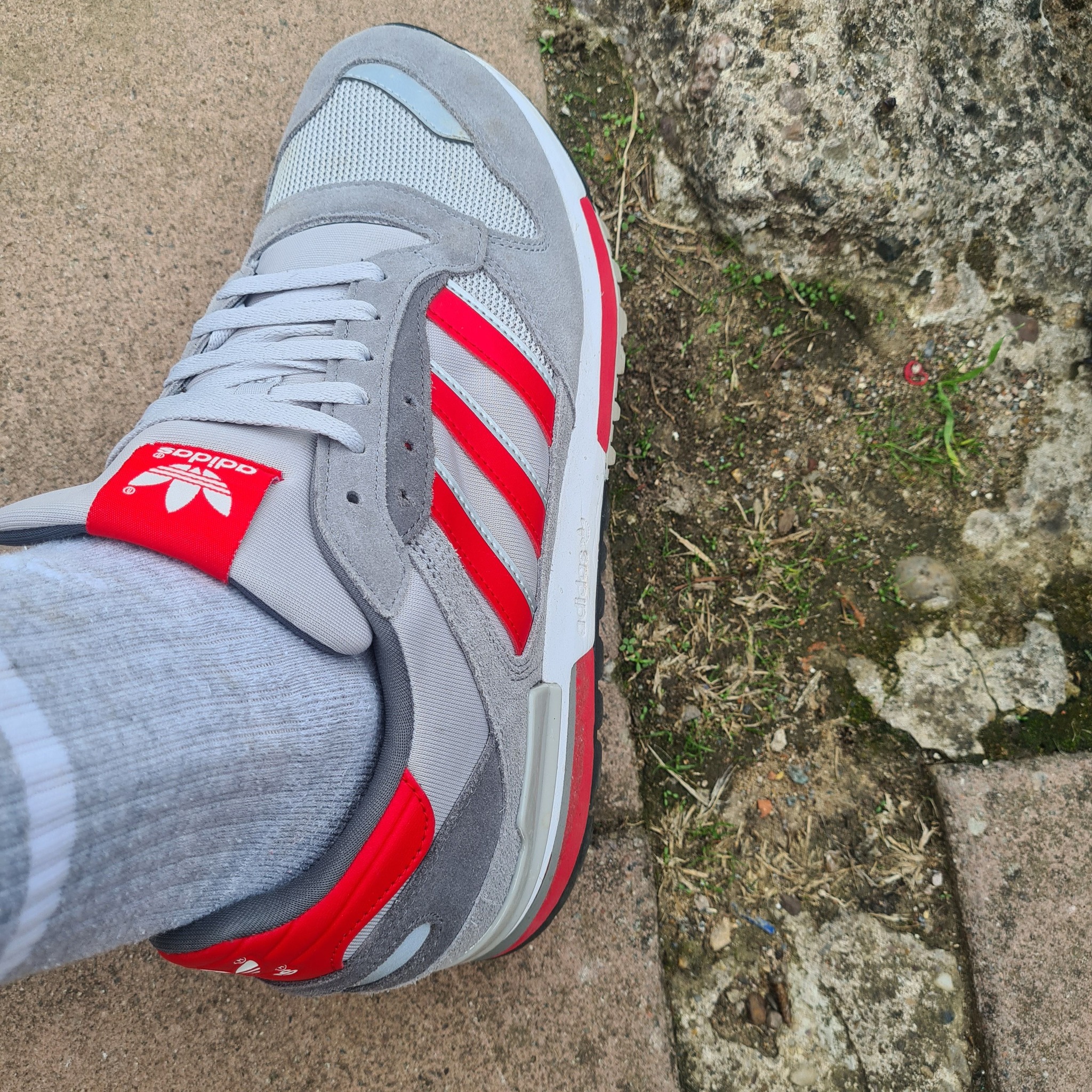 Zx day today