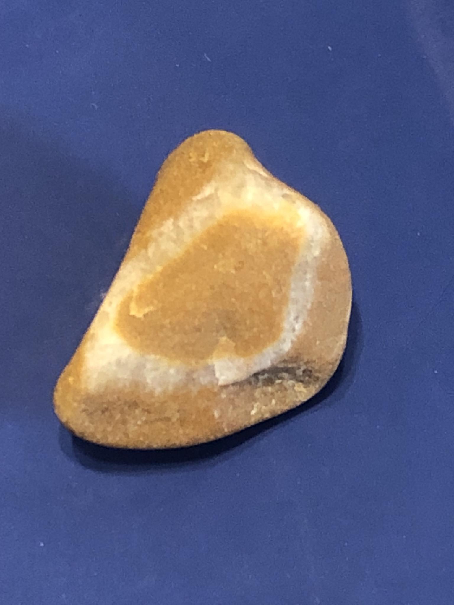 Septarian (lightning stone)? And a cool fossil soup… Lake Huron.