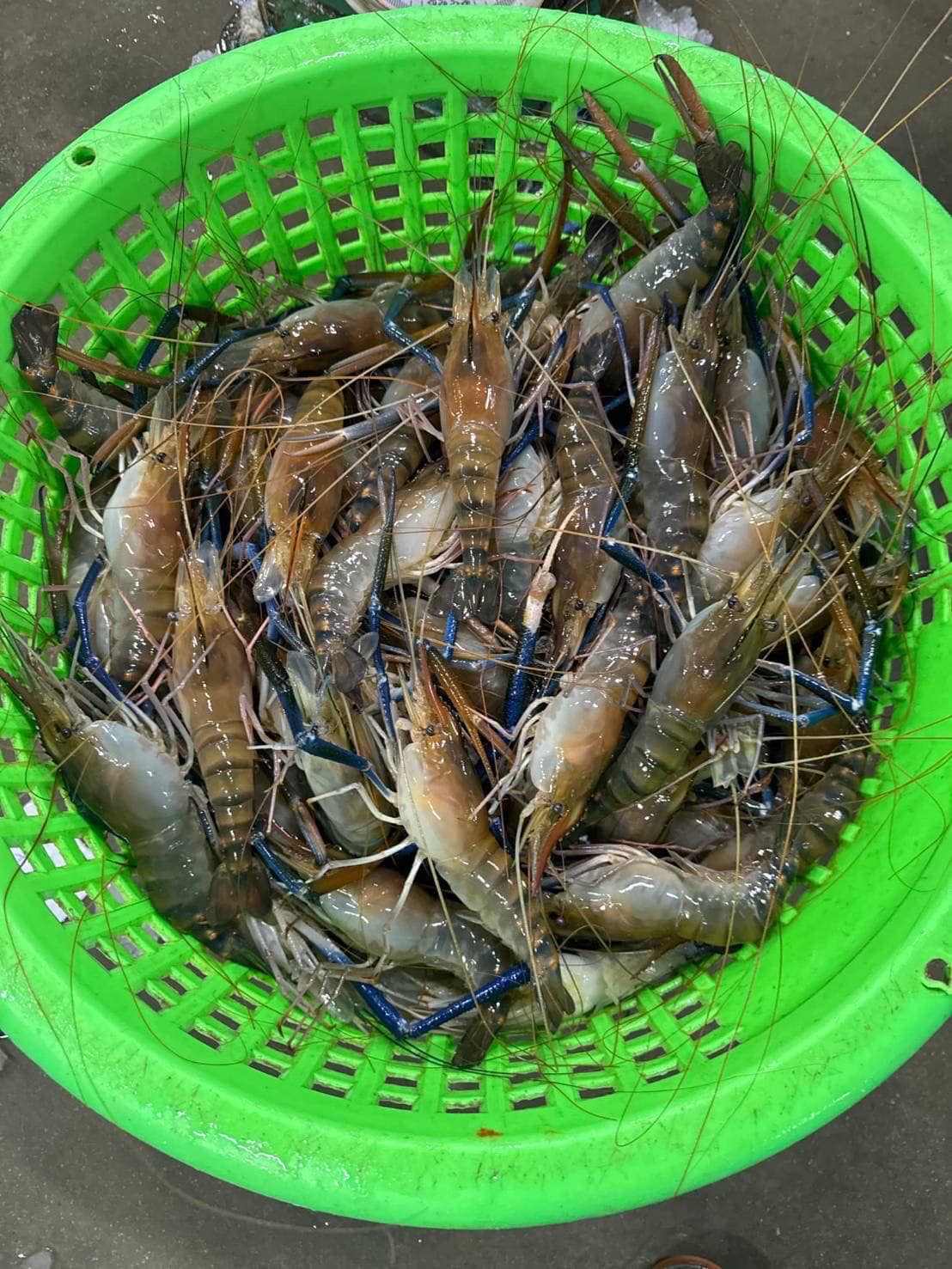 คนรักหมึก | 🦞#กุ้งผู้ | Facebook