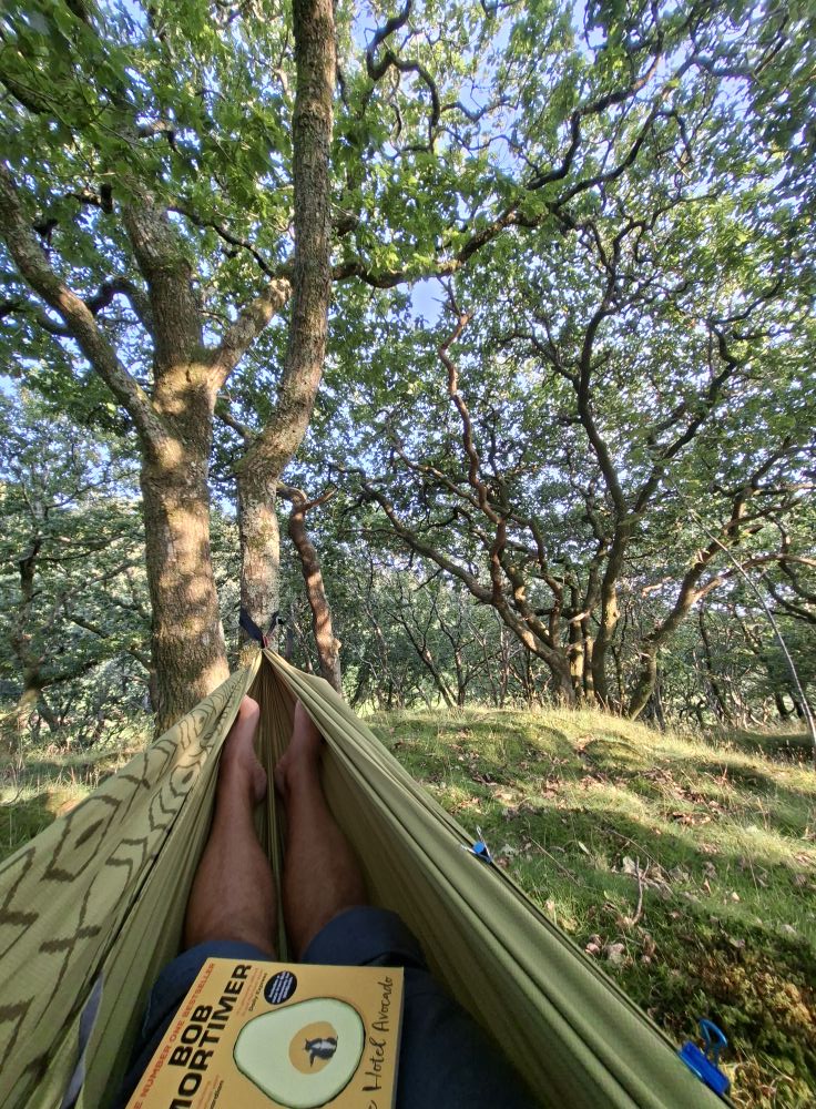 zelte ausleihen Familienzelte und 4-Personen mieten| dein Gipfel günstig mieten – Dein Gipfel ルーフトップテント 20A MPPT Kit:Solar Panel + 20A MPPT Controller The Most Unique Camping