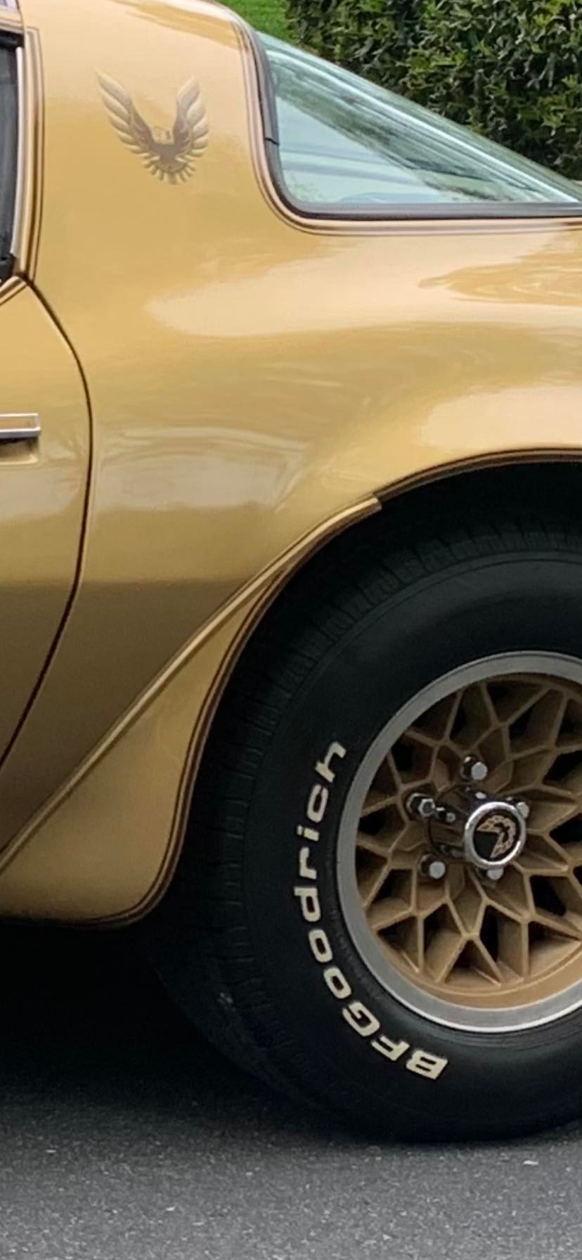 Trans Am Fender Flare Welting Kit For 1970-1981 Models - Solar Gold Trim