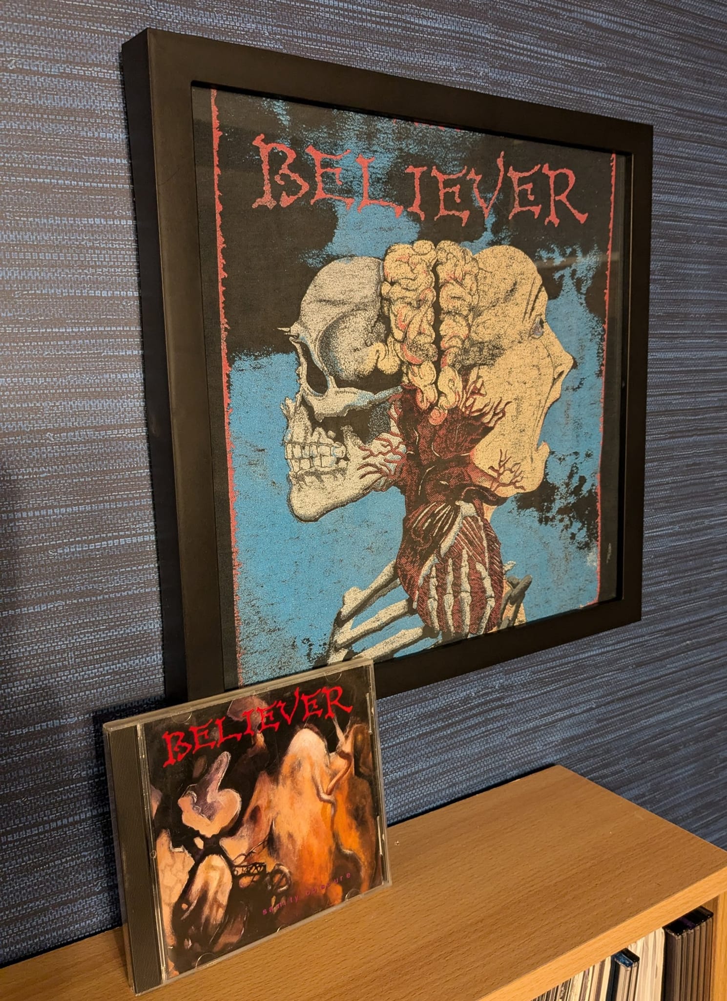 Believer's Sanity Obscure album