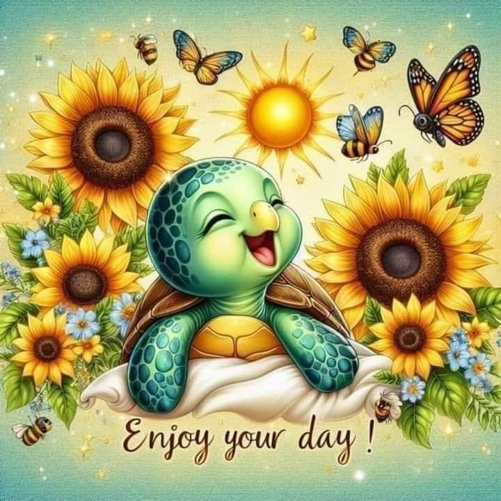 So yesterday was a hard and... - Cindy Bateman-Finch | Facebook