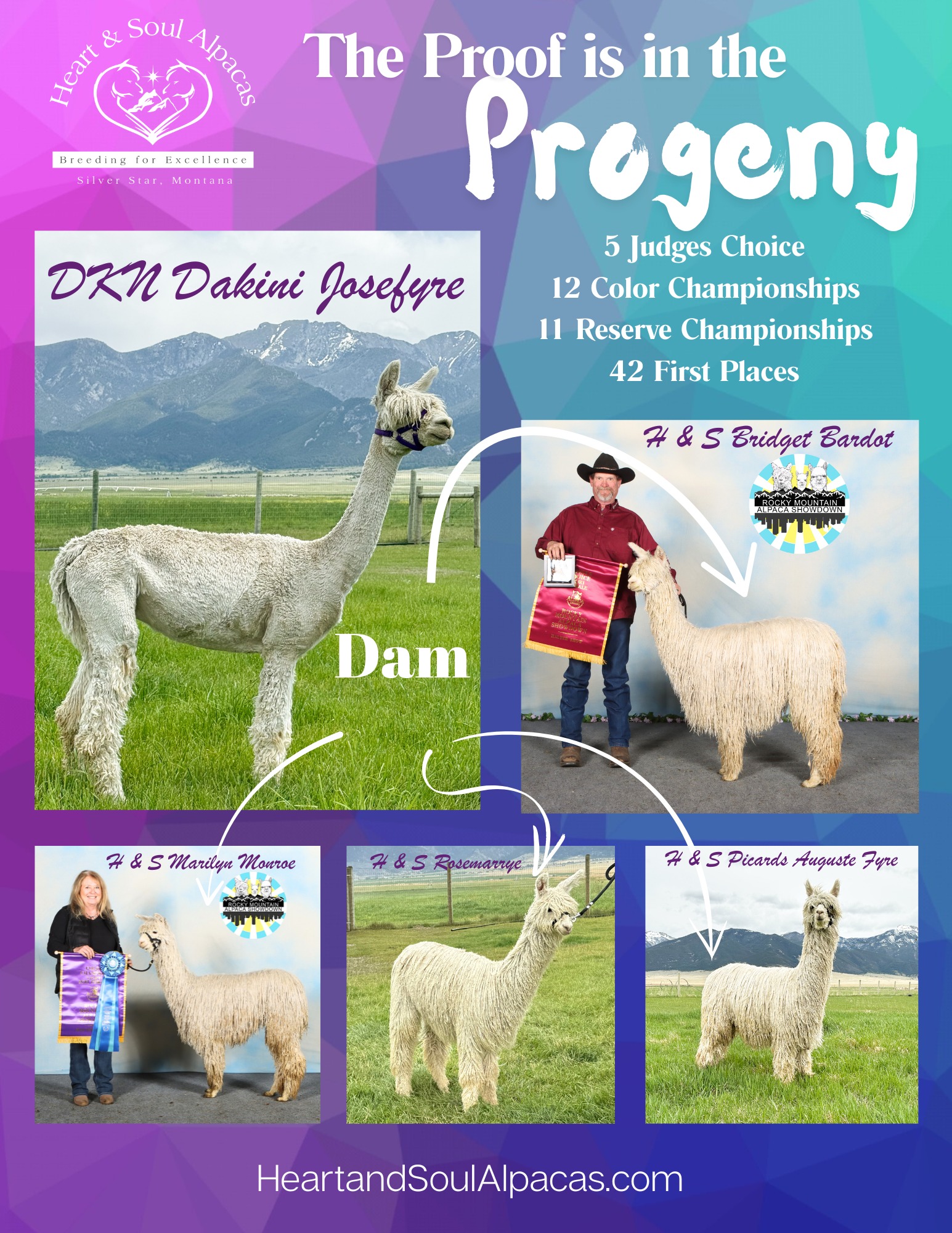 Calpaca - California Alpaca Association | Facebook