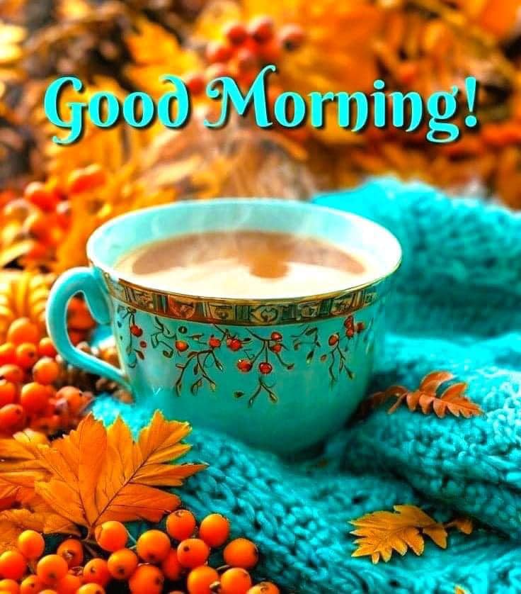 Good morning 💆‍♀️💞🌱 #inspirational #positivevibes #thursdayvibes