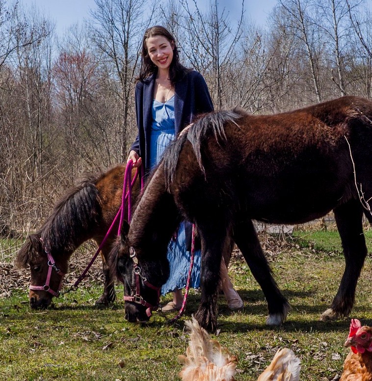 Horse Track System | I opened my track for the first time yesterday and ...