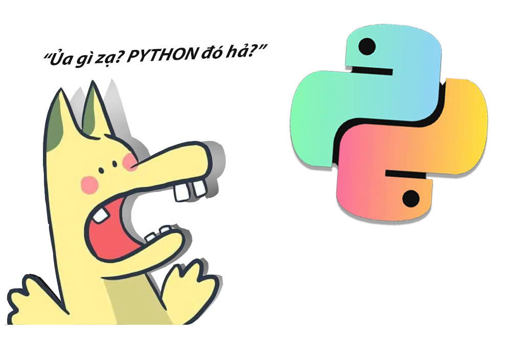 Tự Học Python | **📣 PHỐT NHẸ CON PYTHON 🐍 – CẢNH BÁO PHỤ HUYNH | Facebook