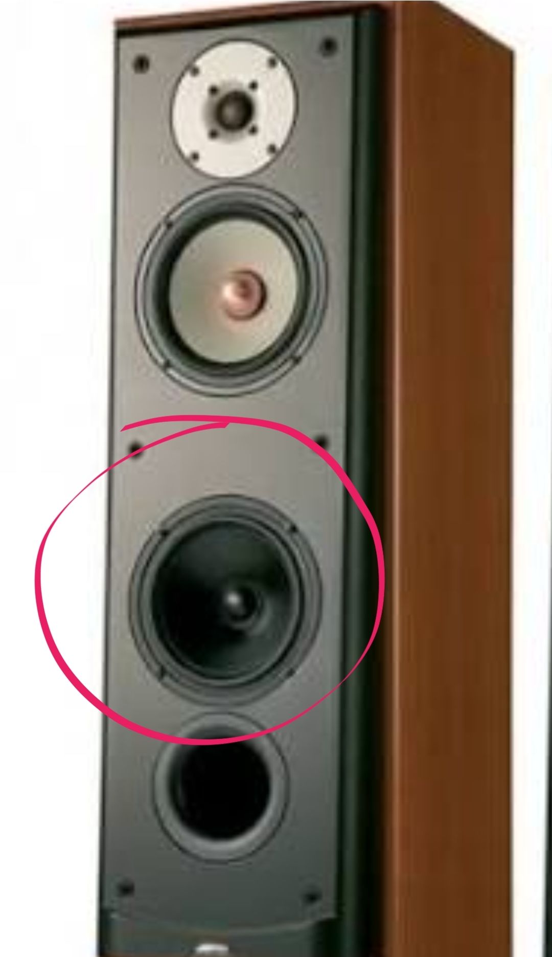 Hello my wonderful audio friends I need a suggestion for