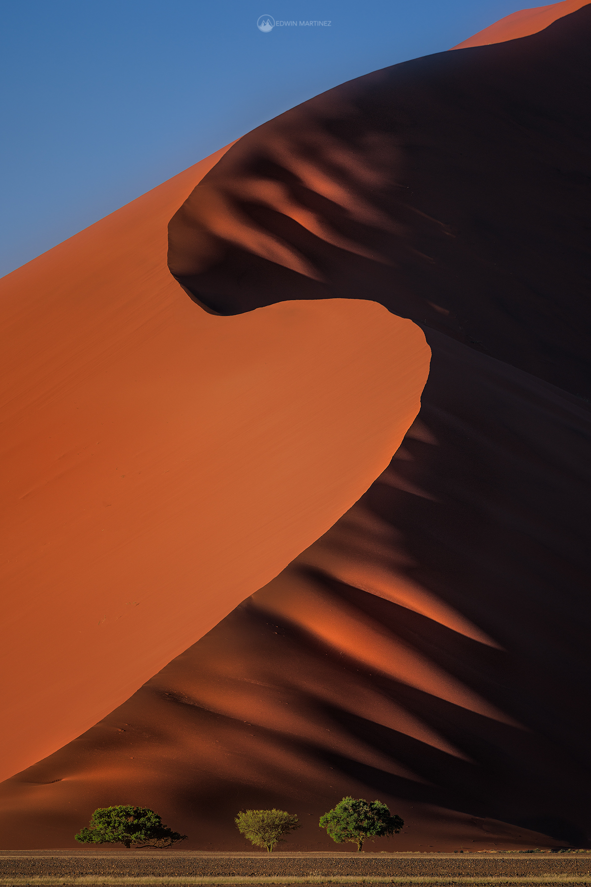 THE ART OF DUNES Namib Desert, Sossusvlei, Namibia The sand dunes 