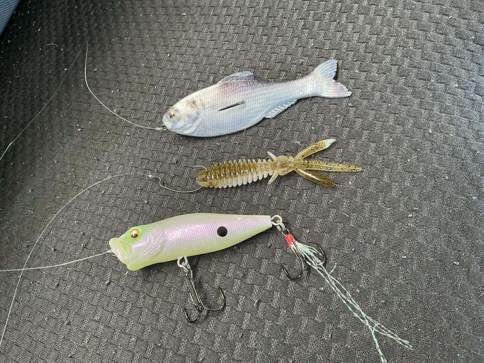 Catching small bass on Marsh Lake with PopX and Panorama