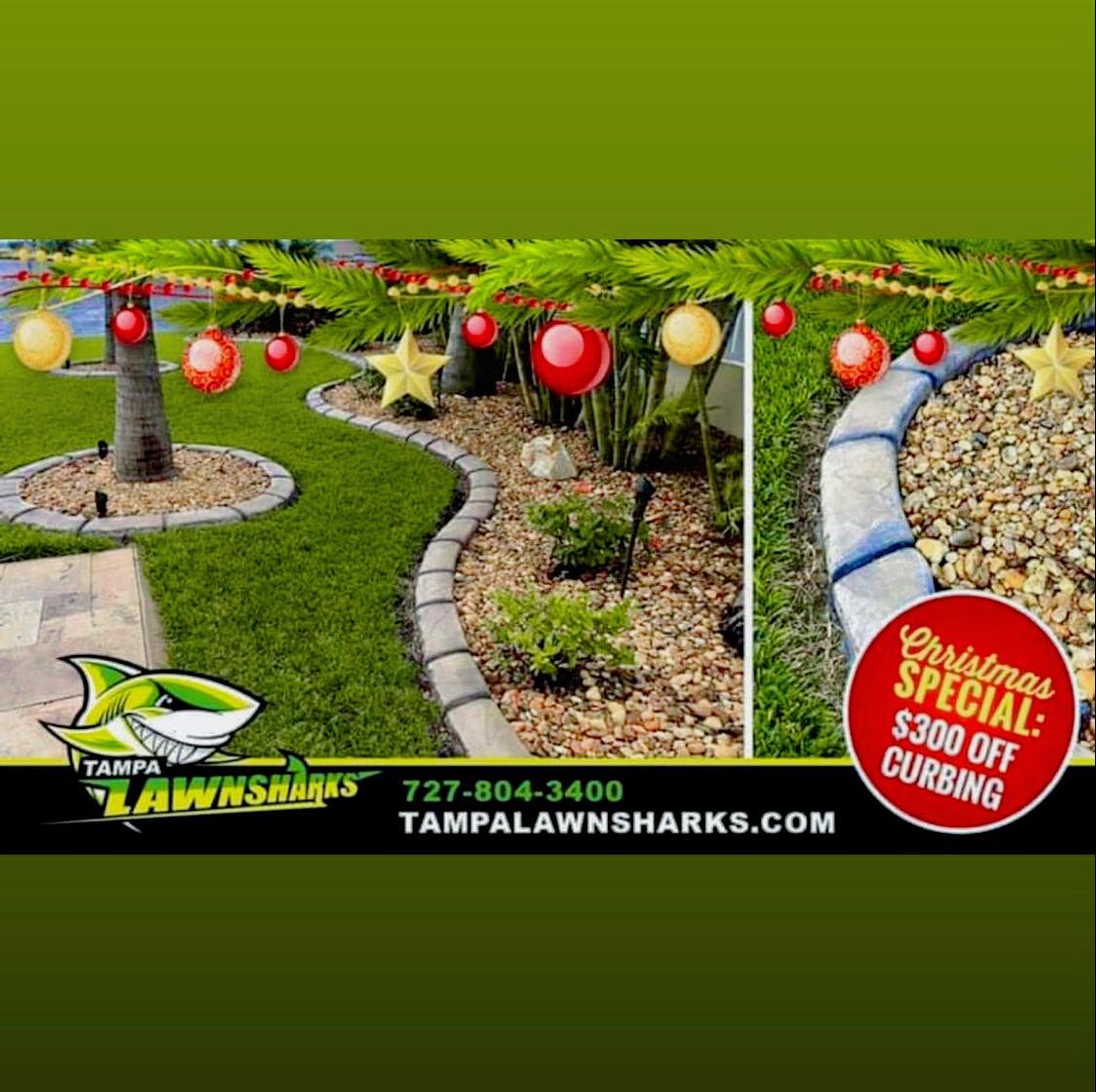 Tampa Tree Sharks | Saint Petersburg FL