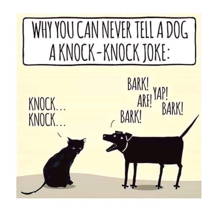 Clean, Funny & Cute Animal Memes | Yep!!!🐕🐈‍⬛🐕🐈‍⬛🐕🐈‍⬛ | Facebook
