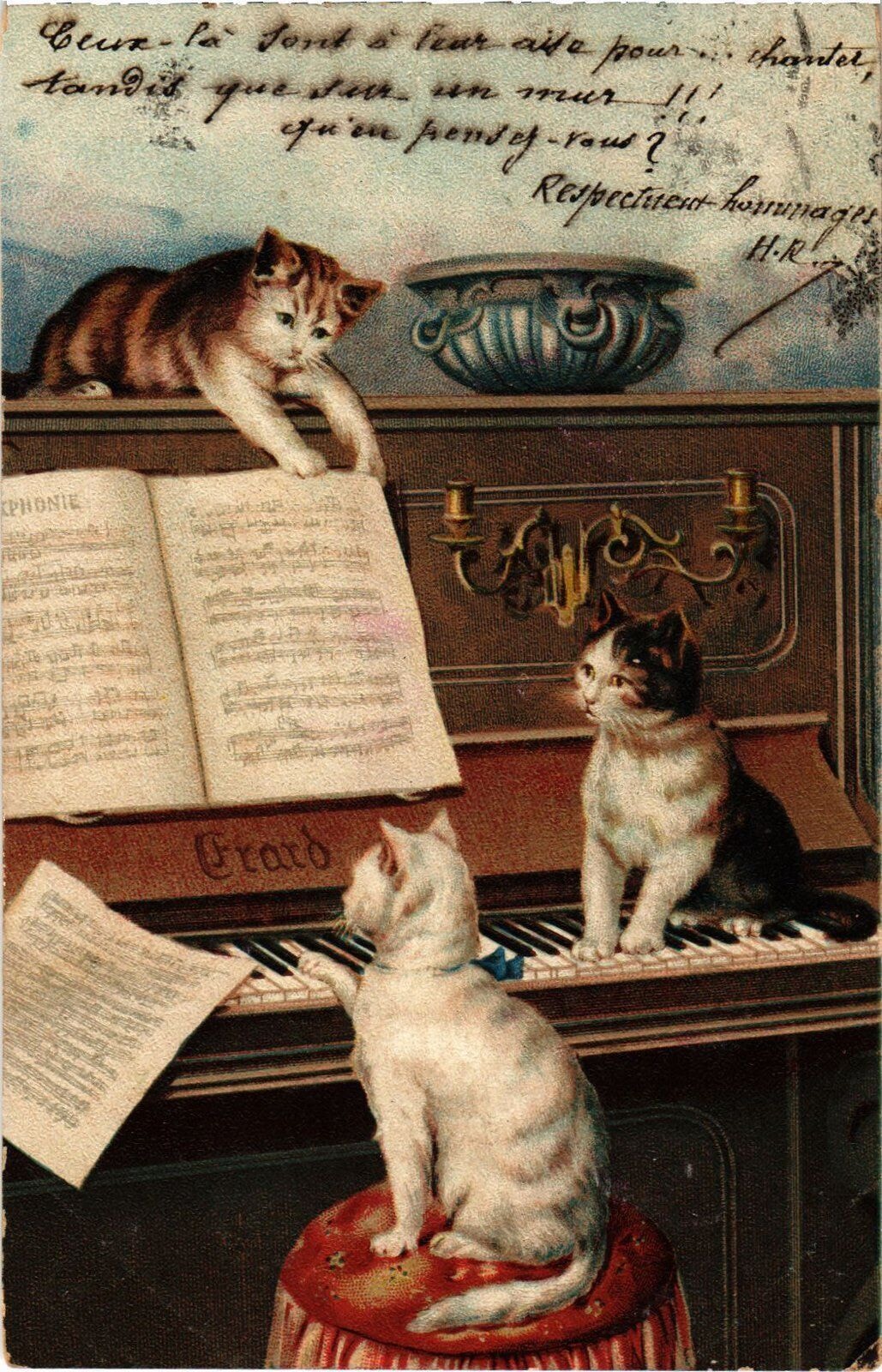 Cats on a vintage postcard, mailed in 1903