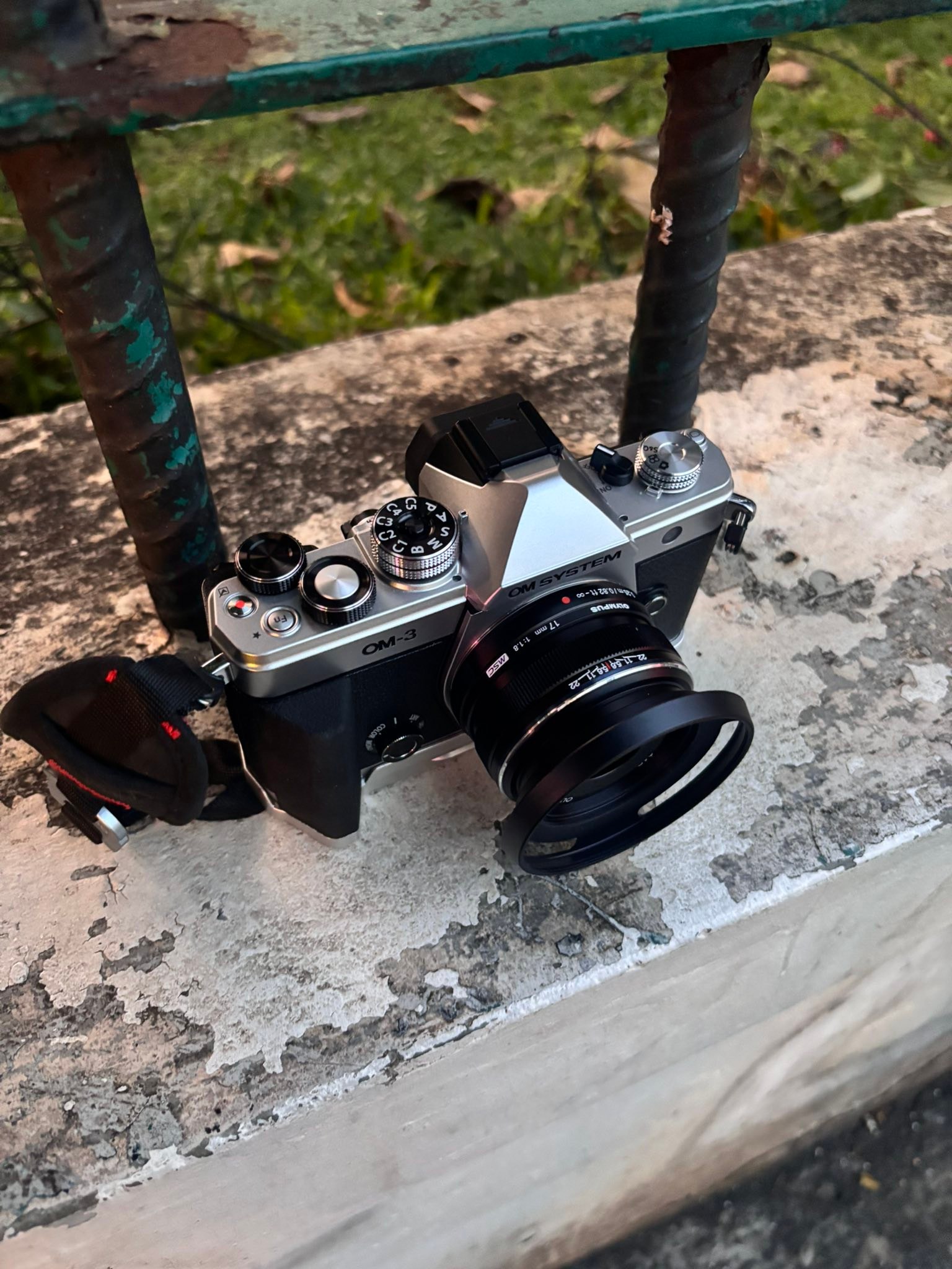 Been taking my OM-3 with 17mm f1.8 for commute to work, not 