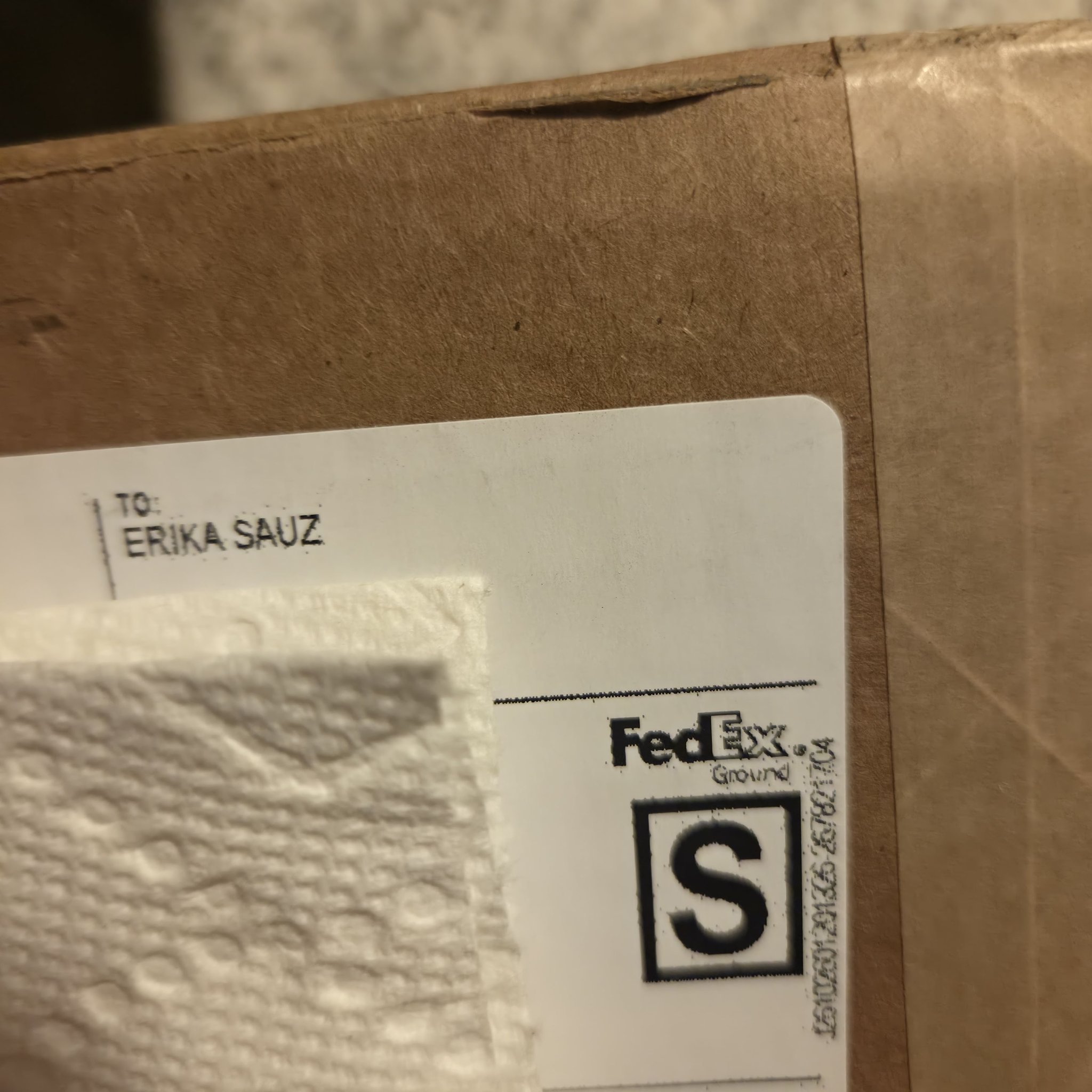 Lost FedEx package for Erika Erikasauz in Lakeland, FL