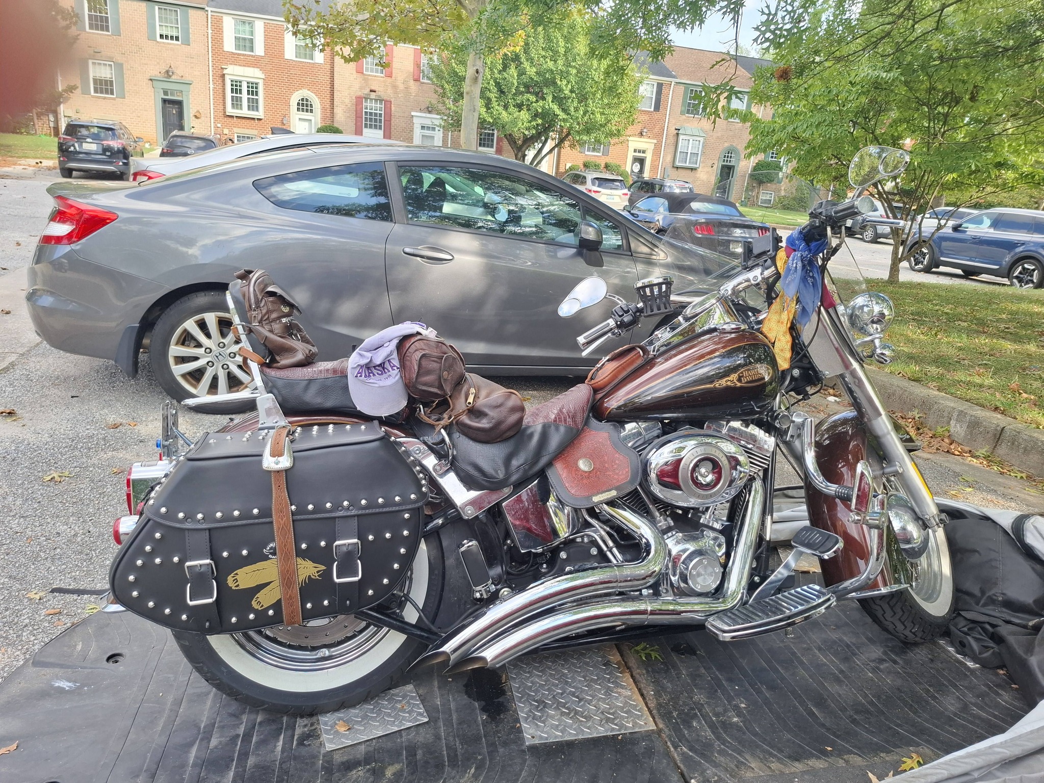 My 11th bike. Most died from high mileage. One died from being