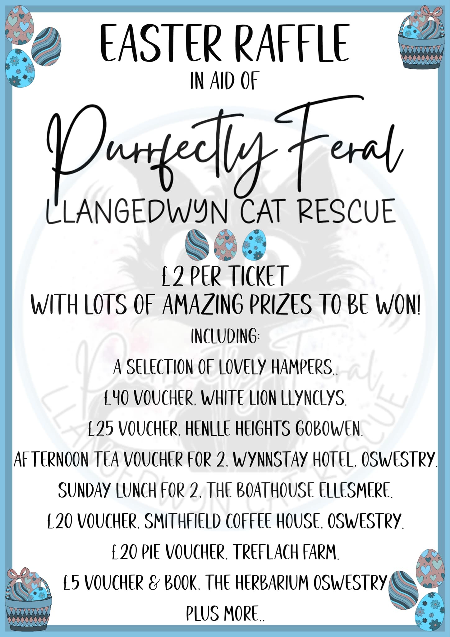 PurrfectlyFeral (Llangedwyn Cat Rescue) | Facebook