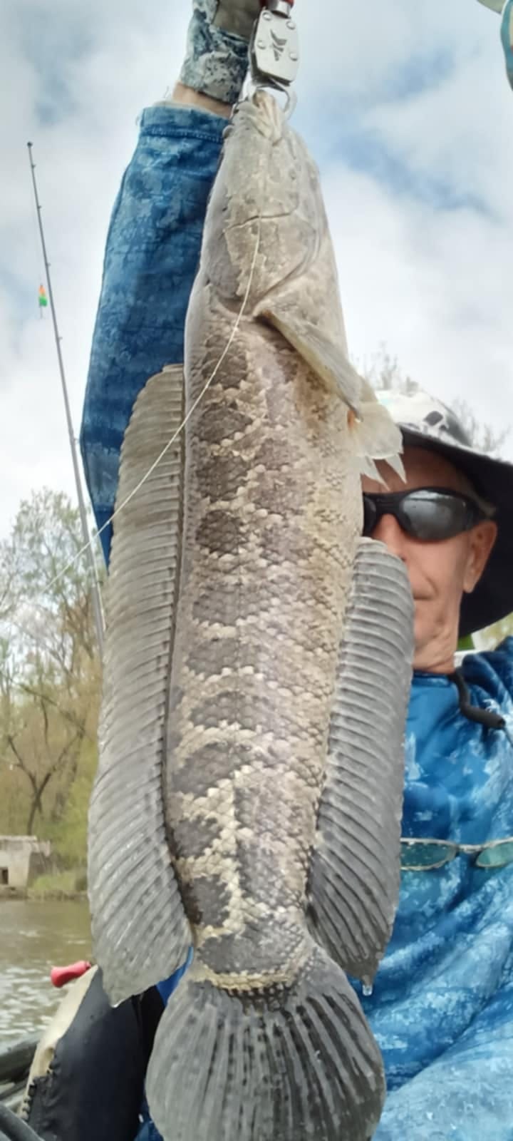 Nj Northern Snake Master's 743 Snakehead Catch